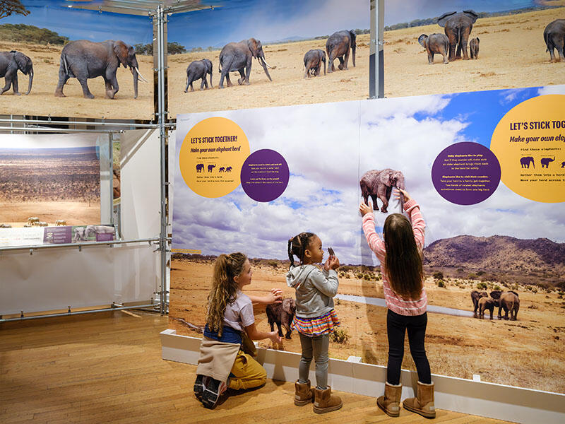 Three children play with elephant magnets on a large, vertical magnetic surface depicting an elephant habitat and elephants in the distance.