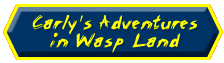 go to Carly's Adventures in Wasp Land comic book