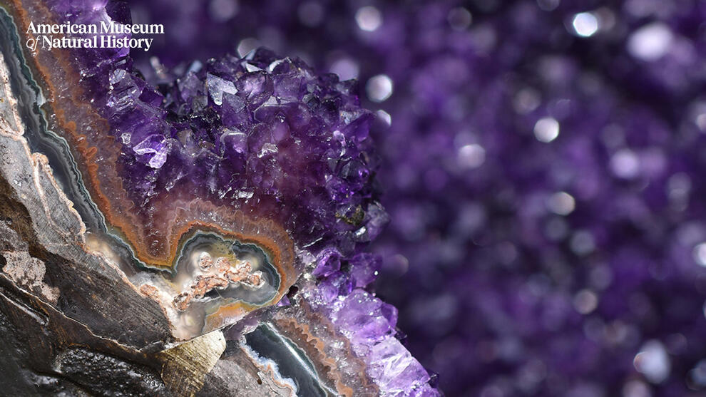 Close-up of amethyst geode layers, with a glittering top layer and stone inner layers of various colors. 