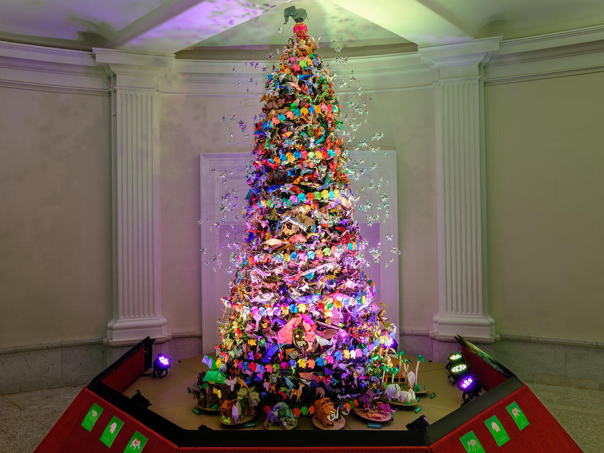 A 13-foot artificial evergreen tree covered with more than 1000 origami (folded paper) ornaments is displayed in the corner of the Grand Gallery hall.