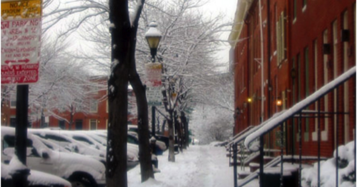 Baltimore Winters, Snow and Salt AMNH