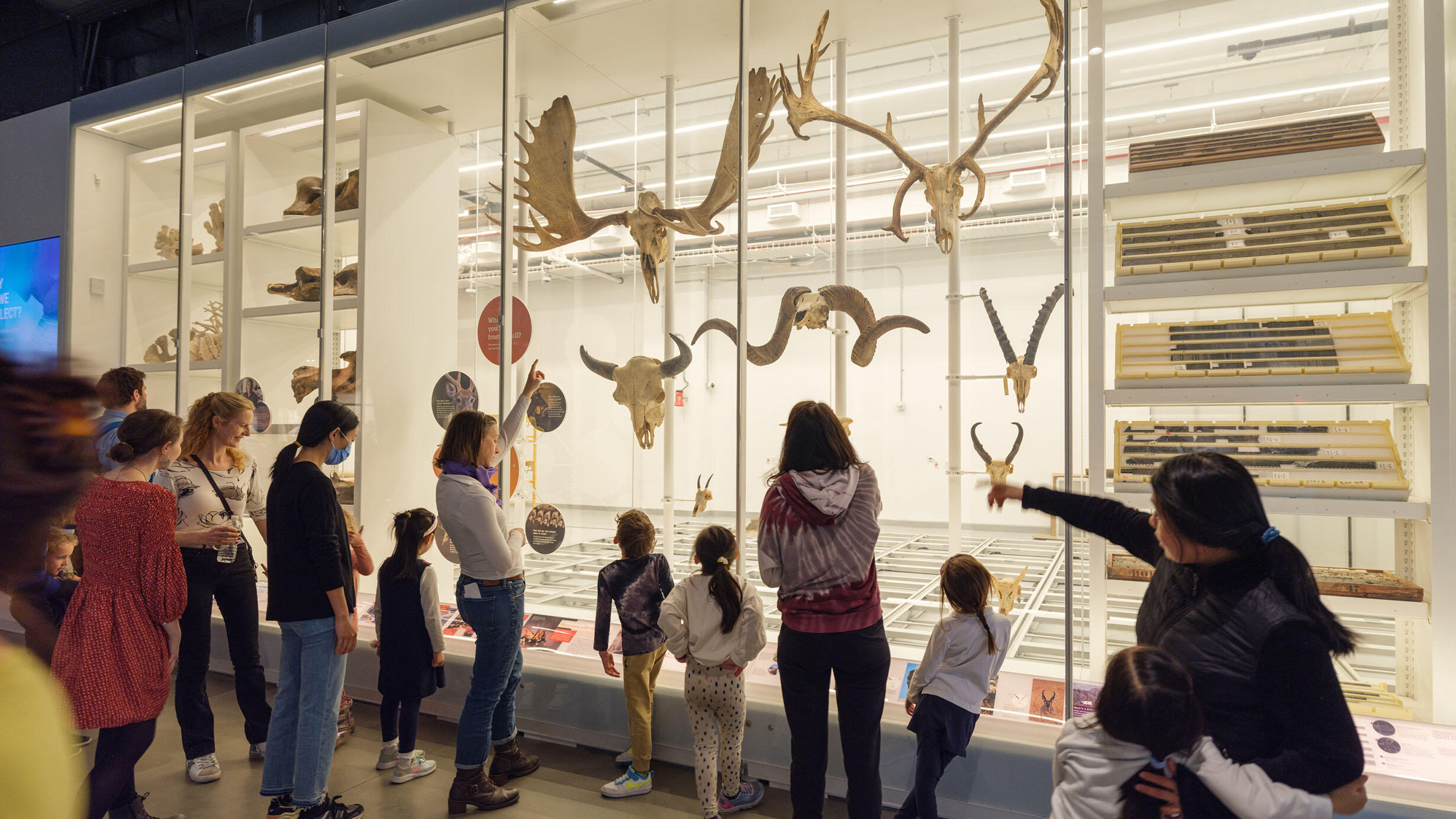 A crowd of over a dozen visitors, adults and children, stand in front of the display of mammal headgear in the 1st floor Collections Core.