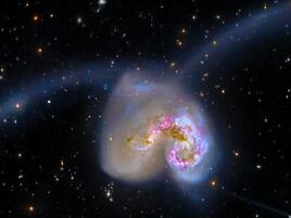 comma-shaped galaxy with two long trails of gas arcing away from the center