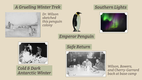 scrapbook page with sketch of antarctic penguins and pictures of the Southern Lights and team looking worn out from hard journey