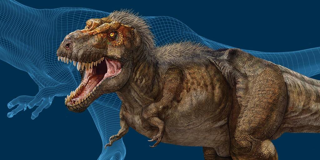 Druif bijtend Als reactie op de What do you know about T. rex? | AMNH