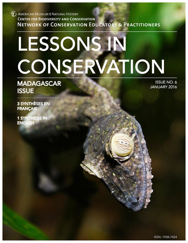 Cover of Issue 6 of Lessons in Conservation, the "Madagascar Issue," featuring a reptile with its head in focus.
